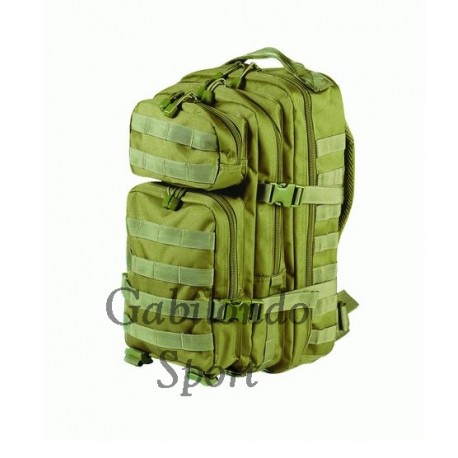 Mochila molle 30 litros 2025