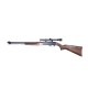 Carabina WINCHESTER Mod.290 Cal.22 LR Ocasión