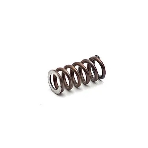 Muelle EEMANN para extractor CZ +10% de potencia